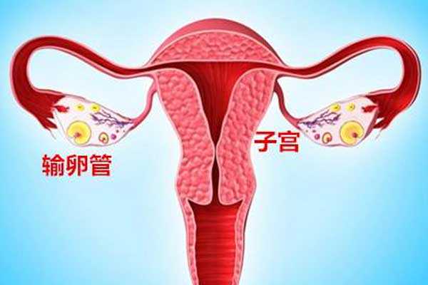怀孕去香港验血大约多少钱,宫腔积液如何影响辅助生殖技术中助孕过程？